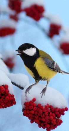 Immagine: Calendario attività gennaio 2026 - CENTRO SERVIZI VIA PORTICI 19