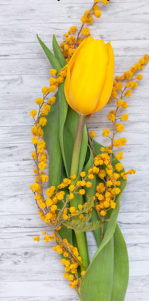 Immagine: Calendario attività marzo 2026 - CENTRO SERVIZI VIA PORTICI 19