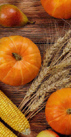 Immagine: Calendario attività novembre 2025 - CENTRO SERVIZI VIA PORTICI 19