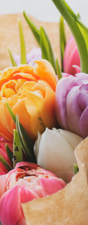 Immagine: Calendario attività Aprile 2026 - CENTRO SERVIZI VIA FEDRIGOTTI 7