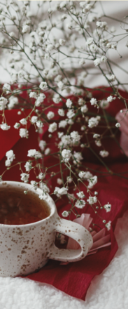 Calendario attività Febbraio 2026 - CENTRO SERVIZI VIA FEDRIGOTTI 7