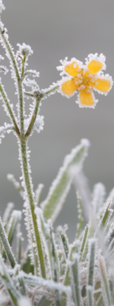 Calendario attività Gennaio 2026 - CENTRO SERVIZI VIA FEDRIGOTTI 7