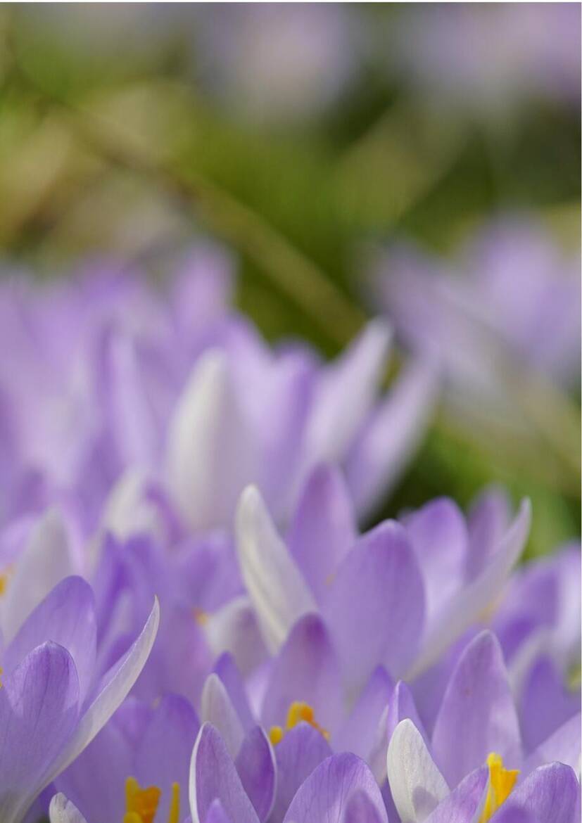 Immagine: Calendario attività Marzo 2026 - CENTRO SERVIZI VIA FEDRIGOTTI 7