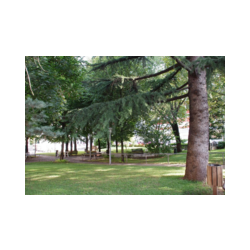 Immagine: RSA Vannetti Giardino