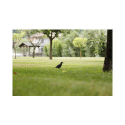 Immagine: Giardino esterno