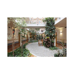 Immagine: Giardino interno