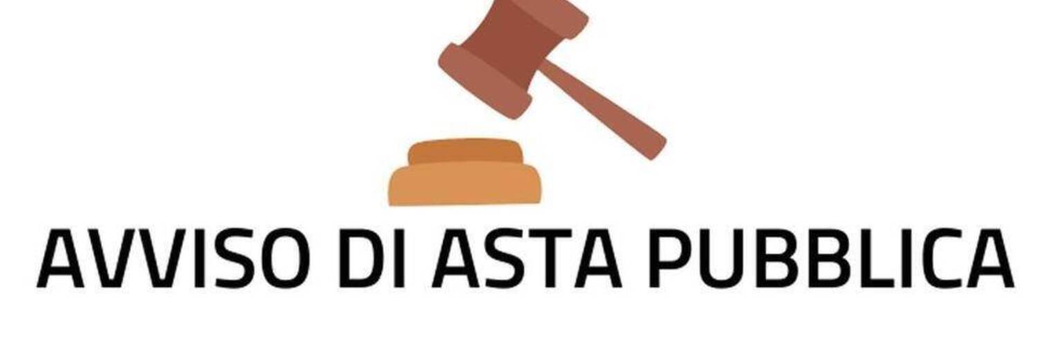 Asta pubblica immobiliare
