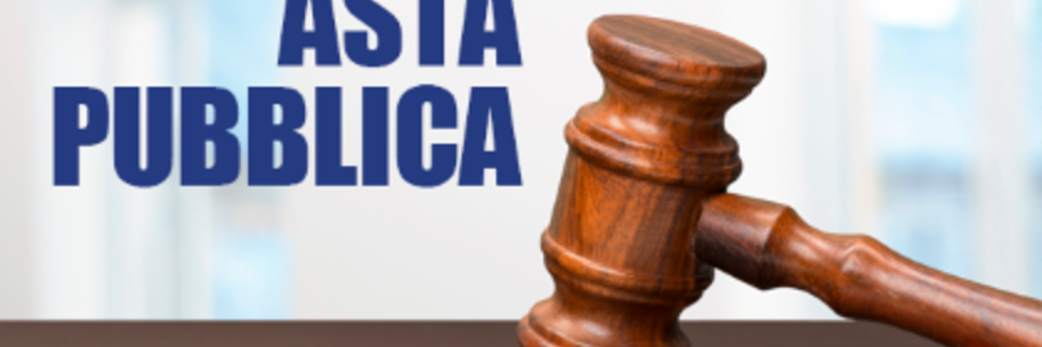 Asta pubblica immobiliare