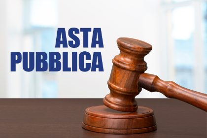 Scritta asta pubblica 