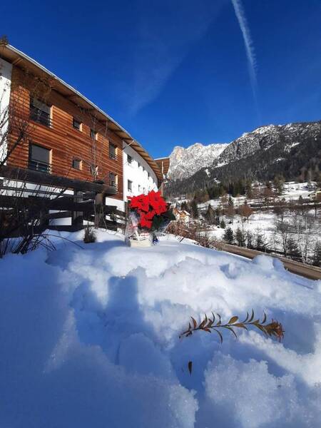 Immagine: 1