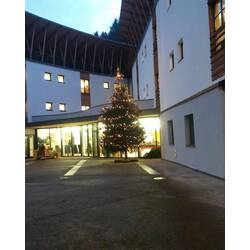 Immagine: Natale