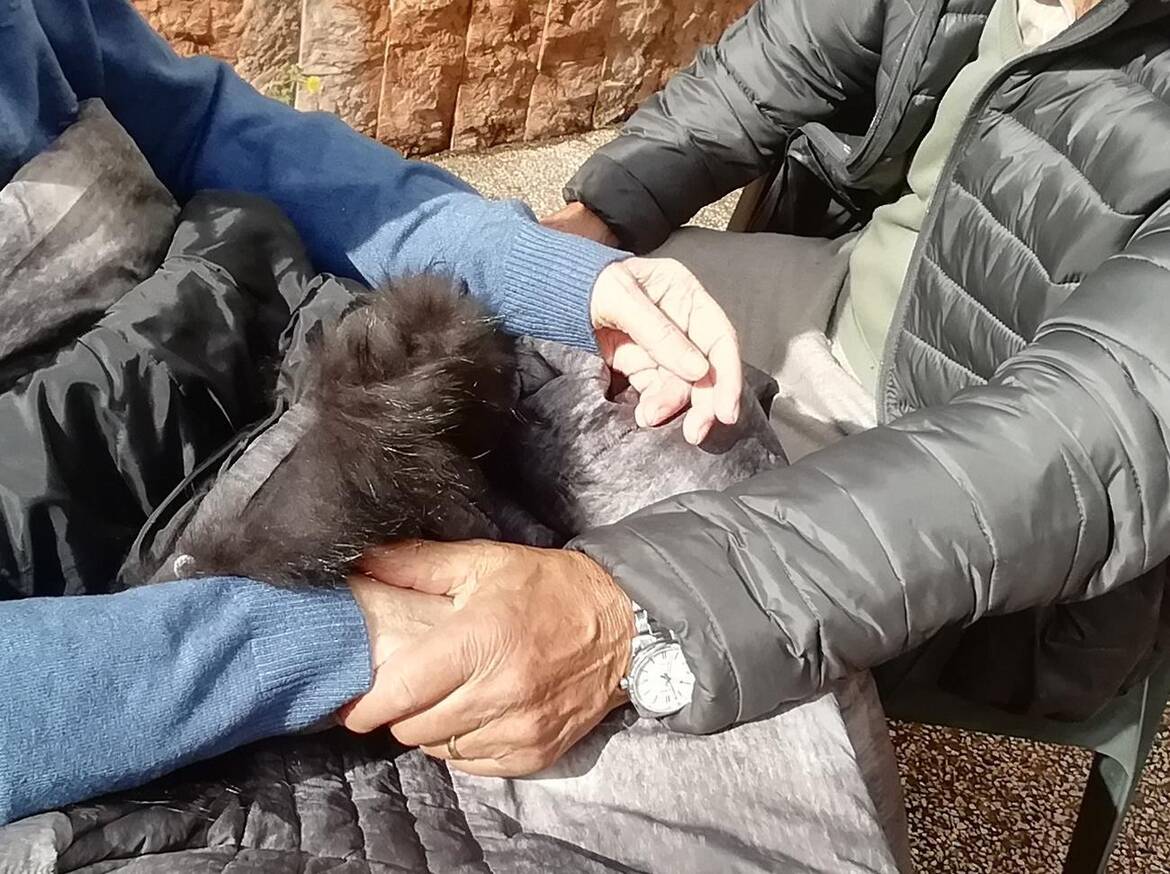 Immagine: Apertura delle RSA: finalmente visite senza barriere 🌻🌻🌻