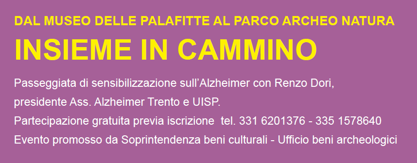 Immagine: Proposta: "Insieme in cammino" 