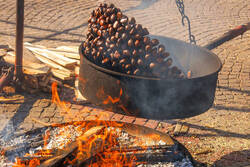 Pomeriggio in compagnia della SAT con castagne e vin brulè!