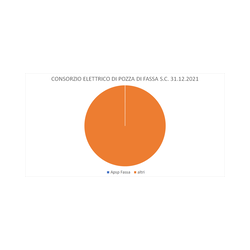 Immagine: partecipazione CONSORZIO ELETTRICO DI POZZA al 31/12/2021