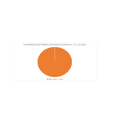 Immagine: partecipazione Consorzio Elettrico Pozza 31.12.2022