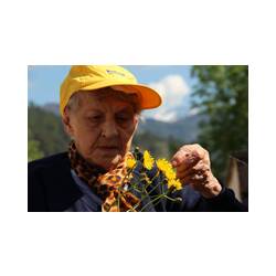 La semplicità e la bellezza di un fiore