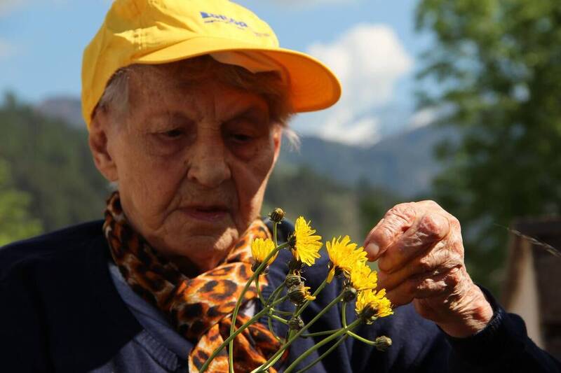 La semplicità e la bellezza di un fiore