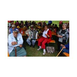 Musica e canti in compagnia