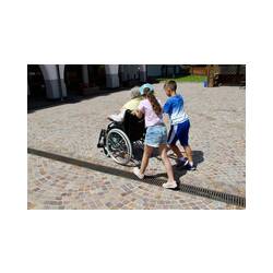 Immagine: Passeggiate in piacevole compagnia