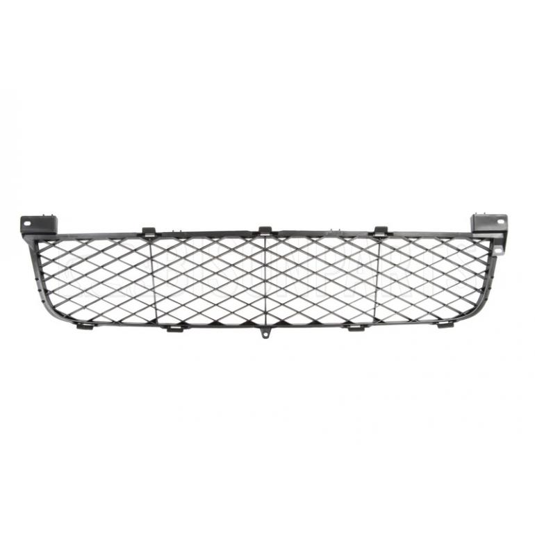 FRONT BUMPER LOWER CENTER GRILLE