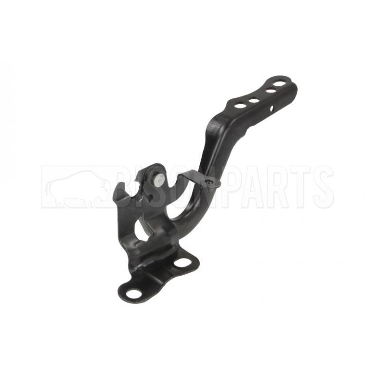 BONNET HINGE DRIVER SIDE RH