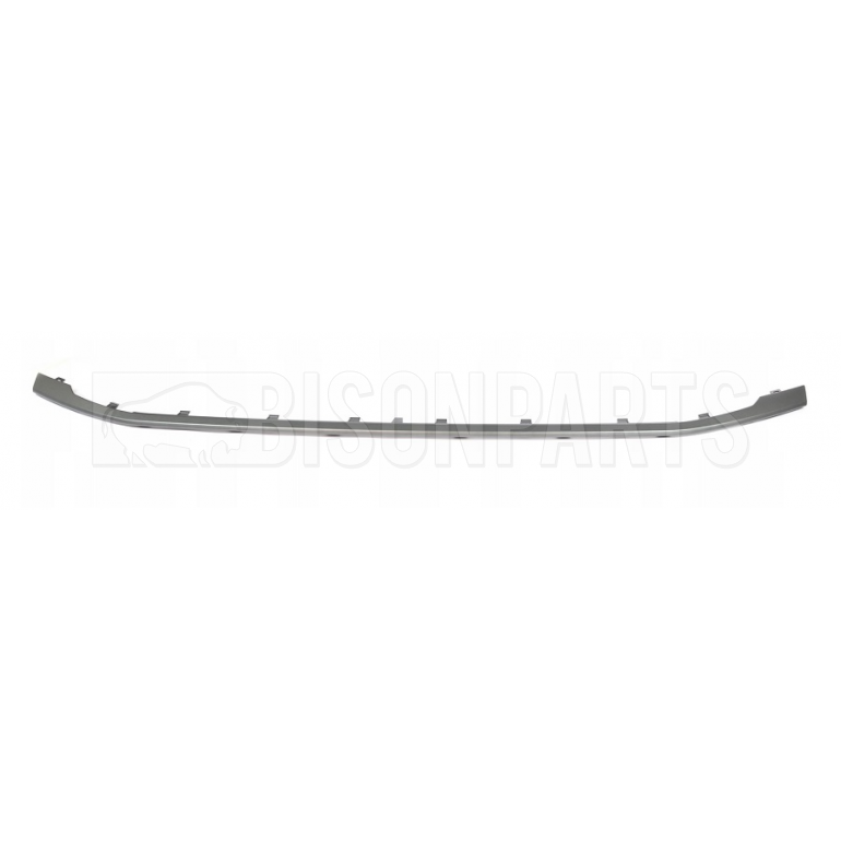 FRONT BUMPER TRIM