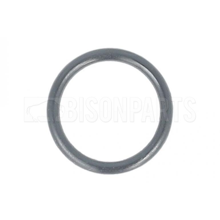 GASKET EGR VALVE O RING FOR THERMOSTAT