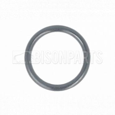 GASKET EGR VALVE O RING FOR THERMOSTAT