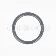 GASKET EGR VALVE O RING FOR THERMOSTAT