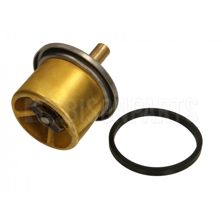 THERMOSTAT WITH SEAL RING (87 DEGREES) 