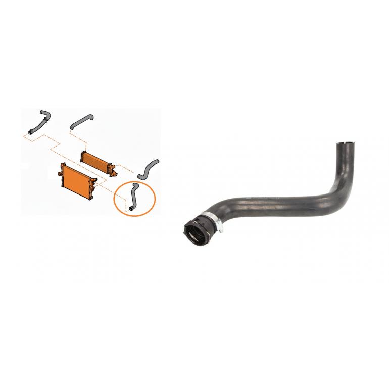 COOLANT RADIATOR HOSE