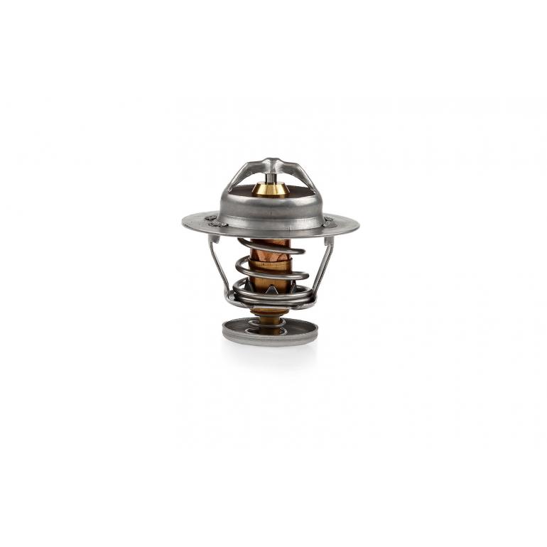 COOLANT THERMOSTAT & SEAL