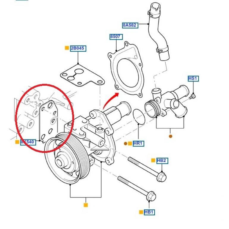 WATER PUMP GASKET 