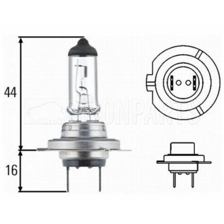 H7 HALOGEN HEADLAMP BULB 12 VOLT (PKT 10)