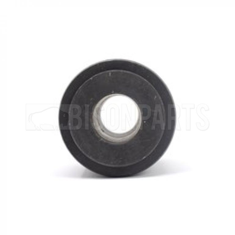 FRONT SPRING EYE BUSH