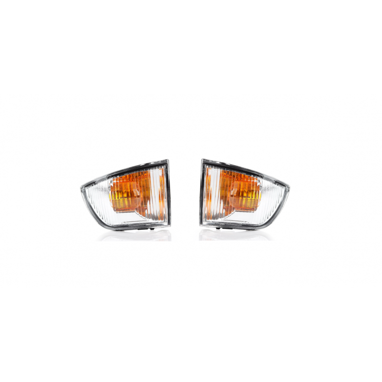 DOOR WING MIRROR CLEAR INDICATORS (PAIR)
