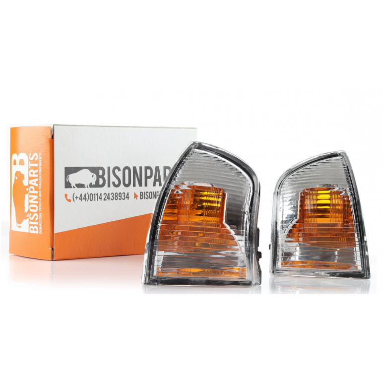 DOOR WING MIRROR CLEAR INDICATORS (PAIR)