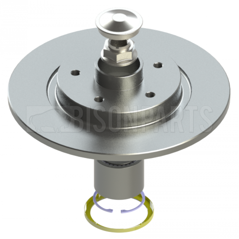 REAR BRAKE DISCS RH & LH (PAIR)