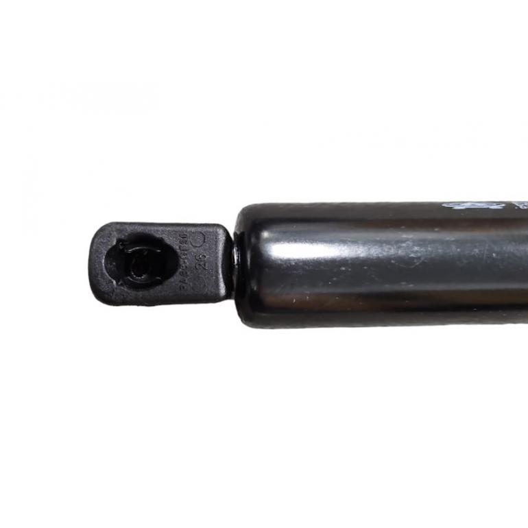 TAILGATE GAS STRUTS (PKT 2)
