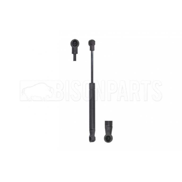 INTERNAL STORAGE GAS STRUTS (PAIR)