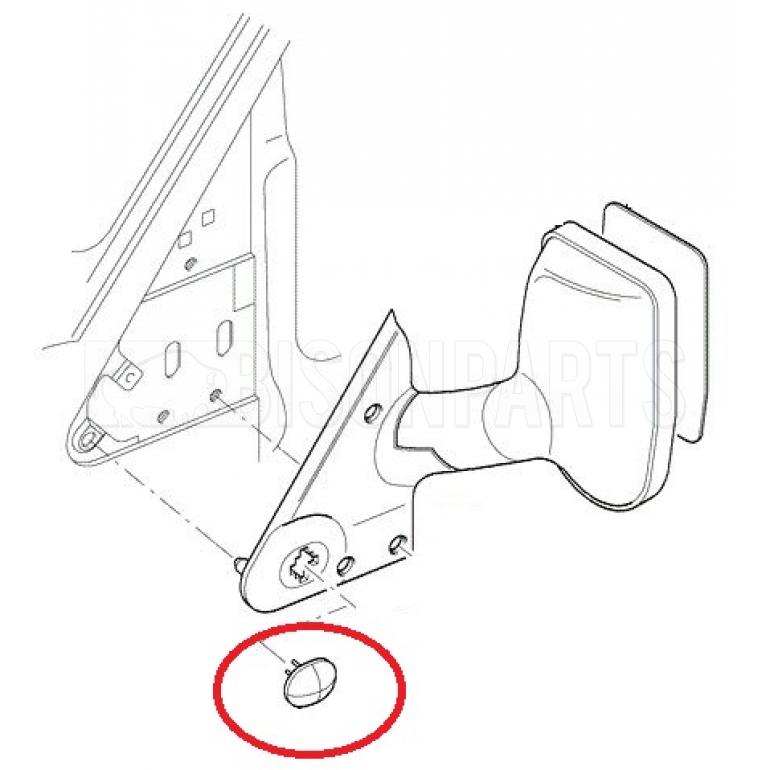 DOOR WING MIRROR BLANKING CAP