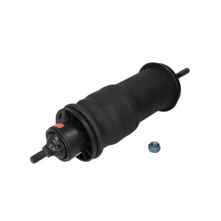 FRONT CAB SUSPENSION BELLOW & SHOCK ABSORBER