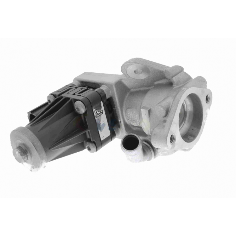 EGR VALVE & GASKETS