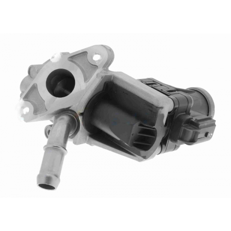 EGR VALVE & GASKETS