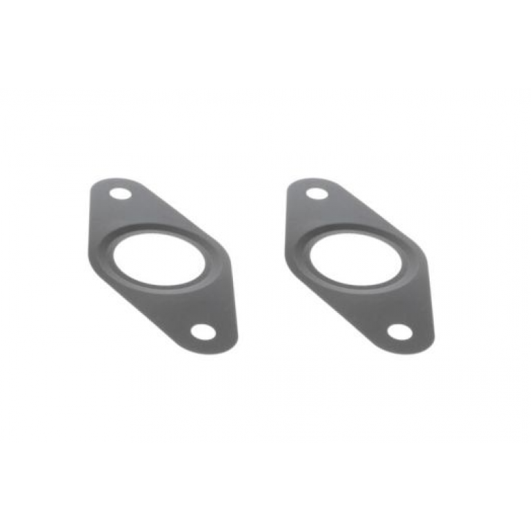 EGR VALVE & GASKETS