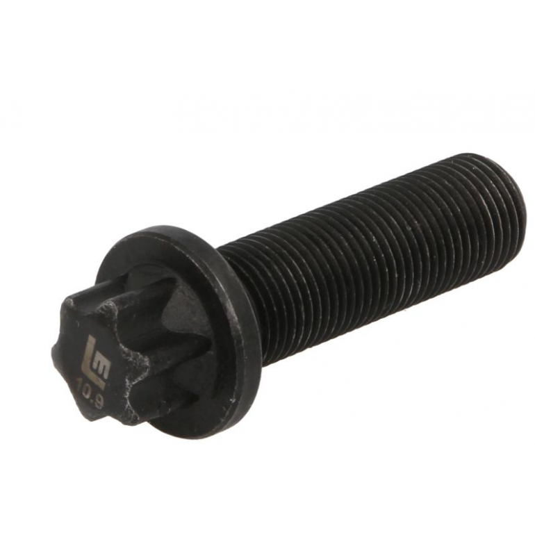 BRAKE CALIPER MOUNTING BOLTS (PKT 12)