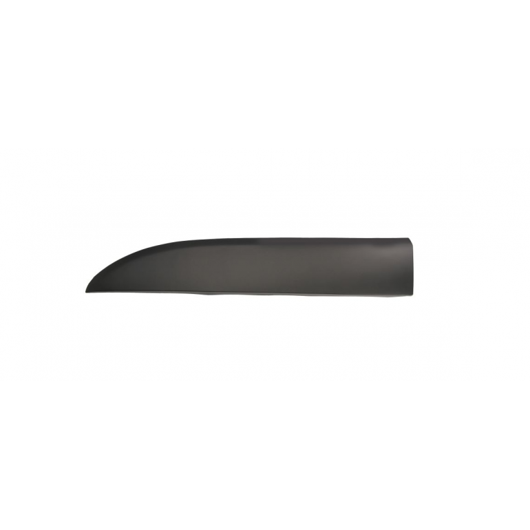 BLACK FRONT DOOR SIDE MOULDING PANEL PASSENGER SIDE LH