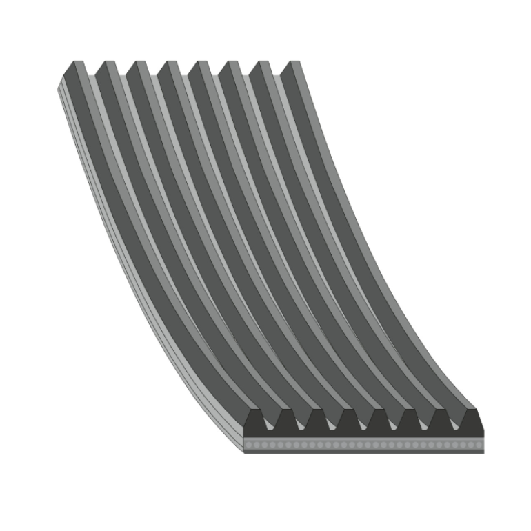 V-RIBBED AUXILIARY BELT 1555MMx8