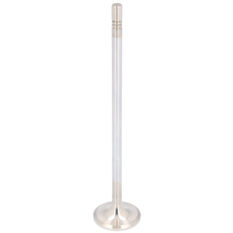 INLET INTAKE VALVE